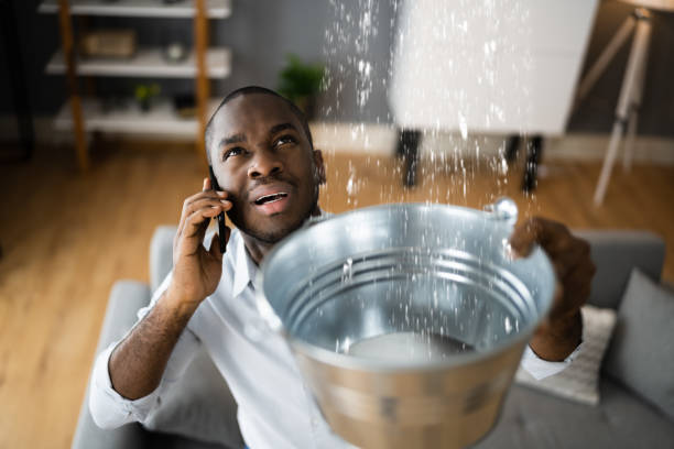 Best Commercial water damage restoration  in Ripley, OH