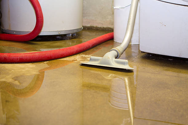 Best Water damage restoration near me  in Ripley, OH