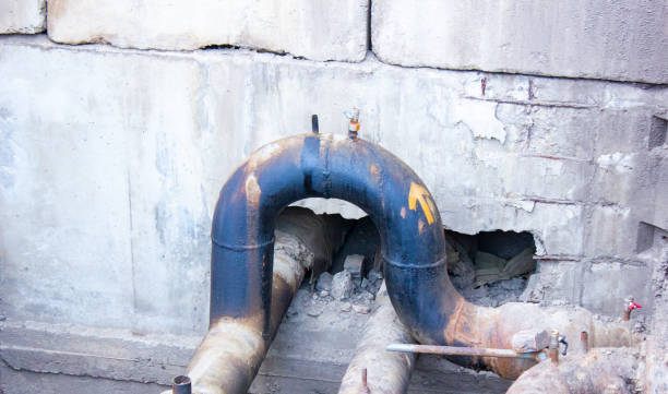 Best Local water damage restoration  in Ripley, OH