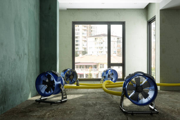 Best Water damage restoration company  in Ripley, OH